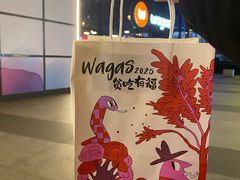 -Wagas沃歌斯(富力广场店)