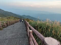 -大围山国家森林公园