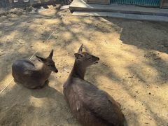 -杭州千岛湖开元度假村