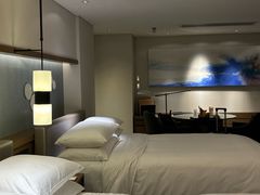 -三亚绿发山海天JW万豪酒店