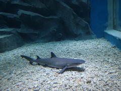 -鄂尔多斯野生动物园