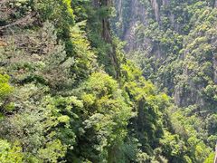 -天台山琼台仙谷景区