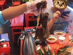 大堂-巴九门老火锅(来福士打望店)
