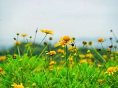 -远山有窑