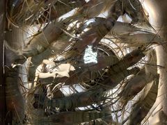 -光头佬钓虾场·烧烤·聚餐·亲子(金沙洲店)