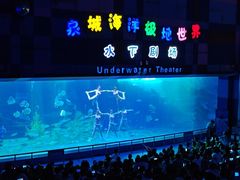 -泉城欧乐堡海洋极地世界