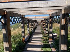 -白草畔自然风景区