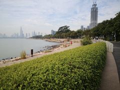 -深圳湾公园(南山区)