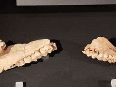 -四川博物院