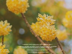 -唐城墙遗址公园