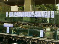 -蠔门宴海鲜城·阳江特色菜