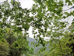 -广州市石门国家森林公园