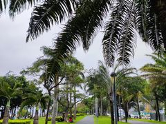 -深圳湾公园(南山区)