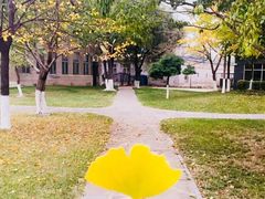 -东北大学(南湖校区)