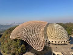 -桔子酒店(南京夫子庙张府园地铁站店)