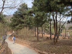 -北京西山国家森林公园