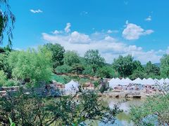 -北京西山国家森林公园