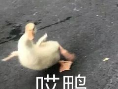-海底捞火锅(奥山世纪城店)