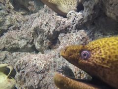 -福州罗源湾海洋世界旅游区