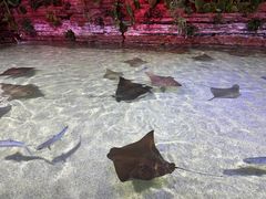 -北海海底世界