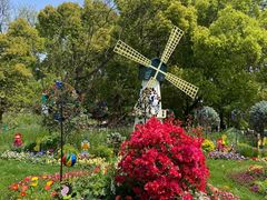 -上海共青森林公园