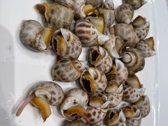 -大东海海鲜酒楼(渔人码头总店)