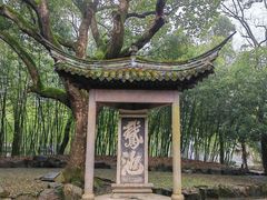 -兰亭风景区
