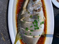 -王庄阿咪海鲜大排档(象园店)