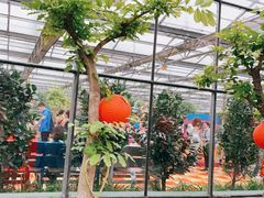 -呀路古热带植物园
