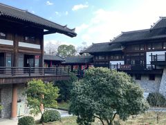 -大唐贡茶院