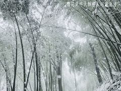 -西湖风景区十里琅珰-五云山