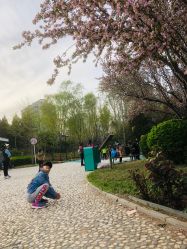 -酷酷兔少儿拓展天地