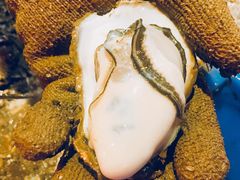-濠轩阁特色生蚝火锅(水湾路店)