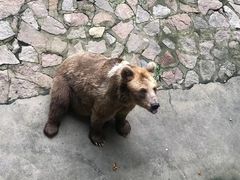 -上海野生动物园