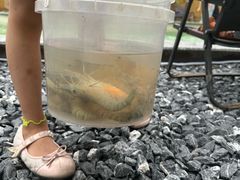 -DGE季风钓虾营地·团建·聚会