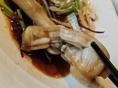 -开海·红岛海鲜虾水饺(石老人店)