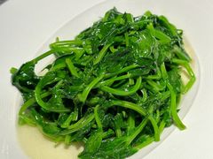 清炒豌豆尖-马旺子·川小馆