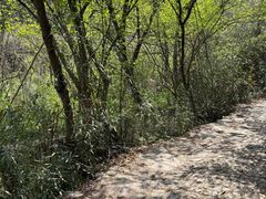 -会稽山峡洞漂流-上青古道