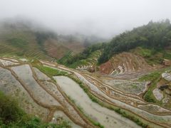 -紫鹊界梯田景区
