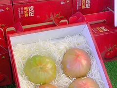 -鹏欣水游城