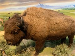 -陕西自然博物馆