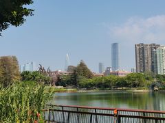 -四海公园(南山区)