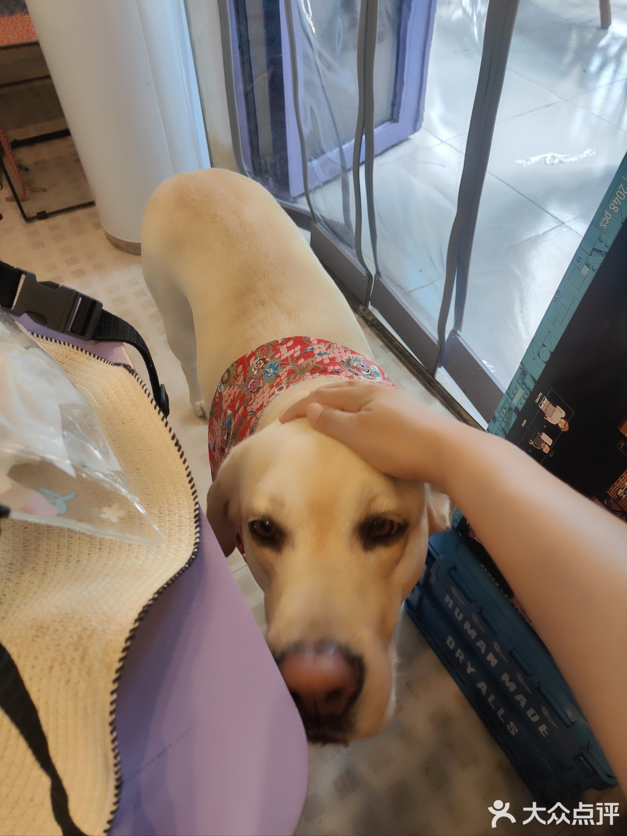 偶猴·OHO Bagel Cafe