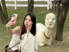 -云栖山谷野奢营地