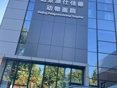 -北京派仕佳德动物医院·超导核磁·CT·神经科·骨科·内外科·急重症管理中心