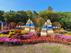 -上海共青森林公园