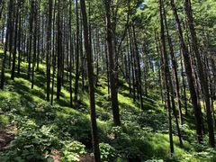-驼梁风景区