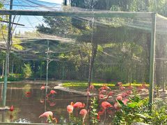 -石家庄市动物园