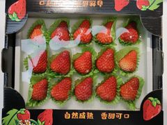 -中国人民解放军总医院