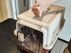 -御宝贝·A梦猫科宠物医院(国际猫友好医院)